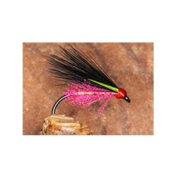 Pseudo Corm Flourescent Pink