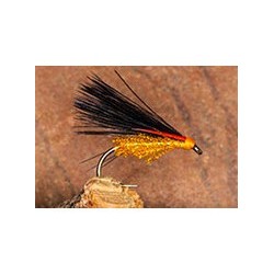 Pseudo Corm Sunburst