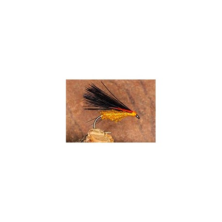 Pseudo Corm Sunburst