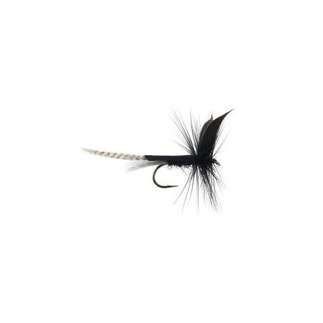 Black Mayfly Dun