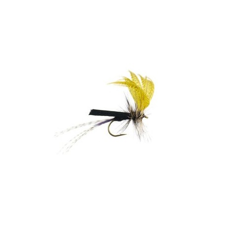Black Yellow Mayfly