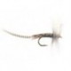 Blue Dun Mayfly