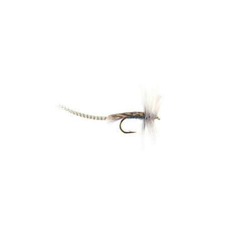 Blue Dun Mayfly