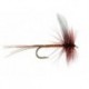 Blue Winged Brown Quill Mayfly