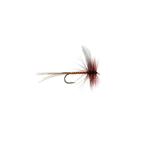 Blue Winged Brown Quill Mayfly