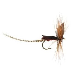Brown Mayfly Dun