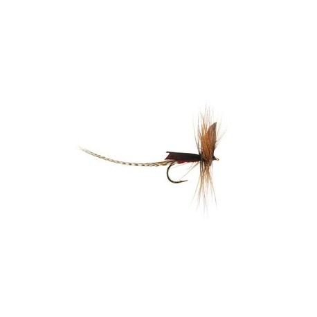 Brown Mayfly Dun