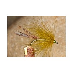 CDC palmer dark olive