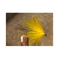 CDC palmer yellow