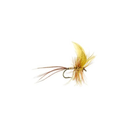 Cream Yellow Quill Mayfly