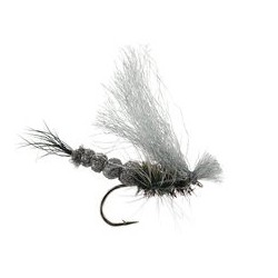 Furimskys Foam Grey Drake