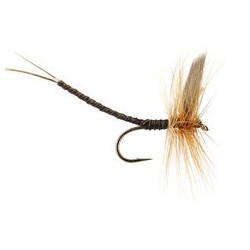 Ginger Quill Extended Body Mayfly