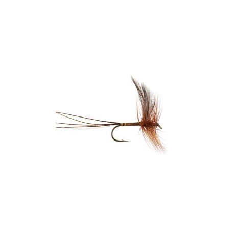 Ginger Quill Mayfly