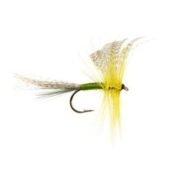 Golden Olive Mayfly Dun