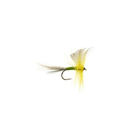 Golden Olive Mayfly Dun