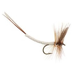 Gray Fox Extended Body Mayfly