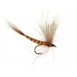 Mayflies Are the Symbol Par