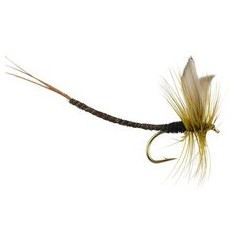 Olive Quill Extended Body Mayfly
