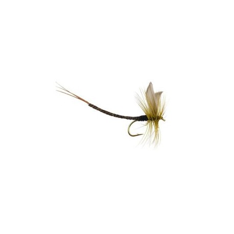 Olive Quill Extended Body Mayfly