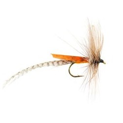 Orange Mayfly