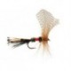 Royal Fan Wing Mayfly