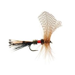 Royal Fan Wing Mayfly