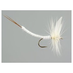 White Extended Body Mayfly