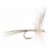 White Ripped Mayfly
