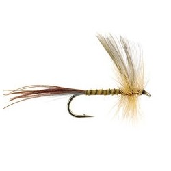 Yellow Olive Quill Mayfly