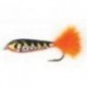 Glass Minnow Pearch Fry