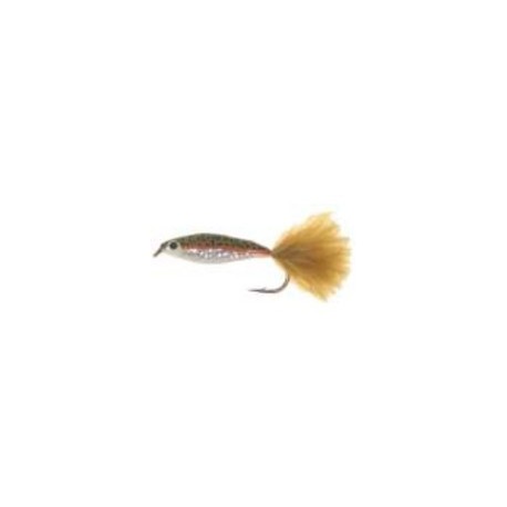 Glass Minnow Rainbow