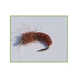 All Purpose Grub Orange