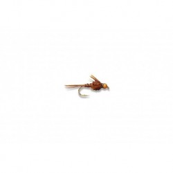 American Pheasant Tail (BH)