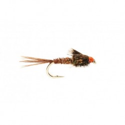 American Pheasant Tail Peacock