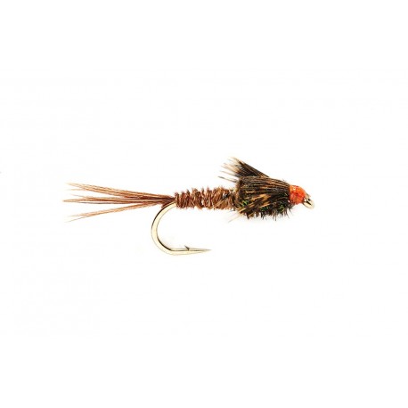 American Pheasant Tail Peacock