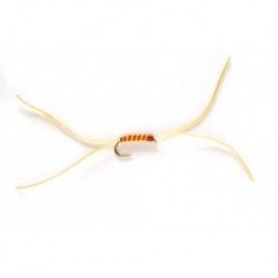 App's Bloodworm Weighted