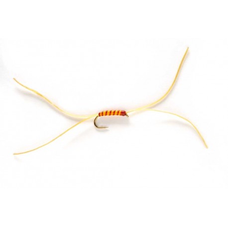 App's Bloodworm Weighted