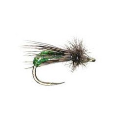 Barrs Graphic Caddis