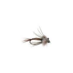 Bears Pheasant Tail