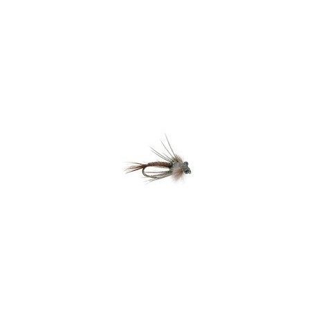 Bears Pheasant Tail