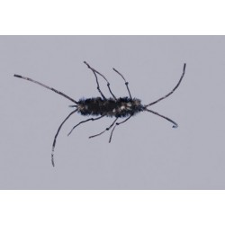 Beige Black Knotted Flexi Stone Weighted