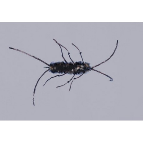 Beige Black Knotted Flexi Stone Weighted