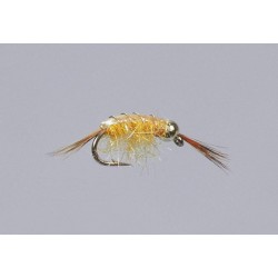 BH Orange Flashback Scud