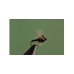 Black Biot Midge