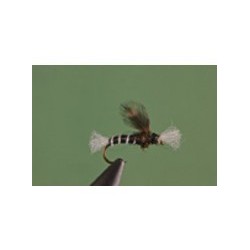 Black Chironomid Pupa