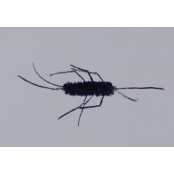 Black Knotted Flexi Stone Weighted