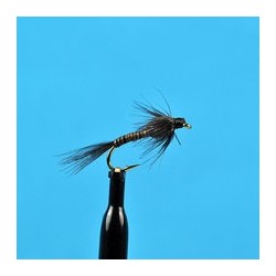 Black Quill Nymph