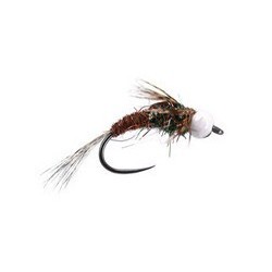 Ales Pheasant Tail Competition Tungsten