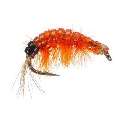 Body Glass Gammarus Orange