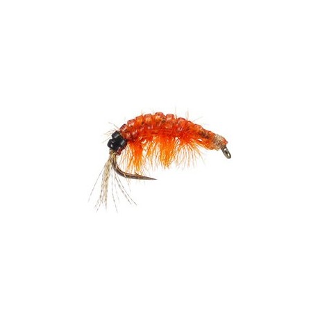 Body Glass Gammarus Orange